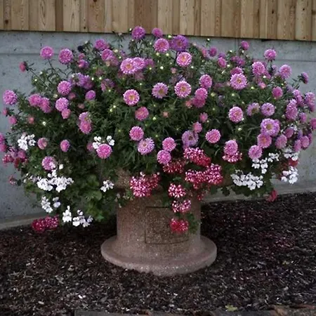 Séjour à la ferme Ermi Pracher Gross Sankt Florian