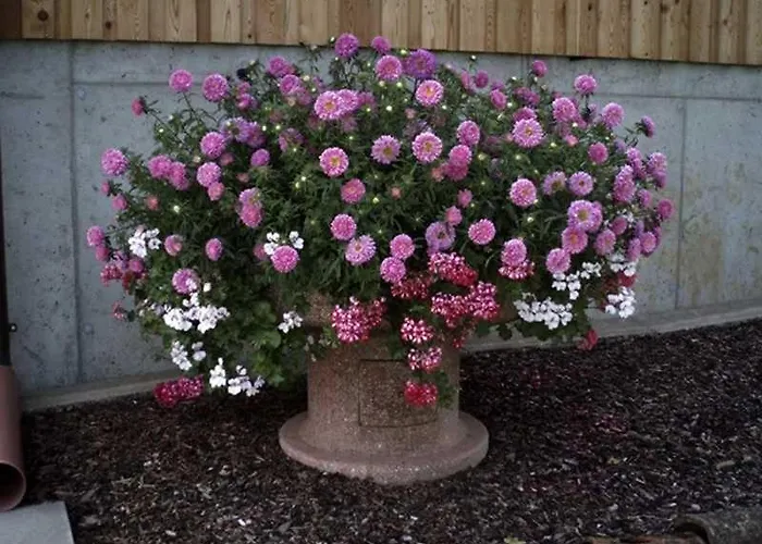 Lantgård Ermi Pracher Gross Sankt Florian